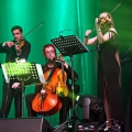 20110730_umbra_akustik_026