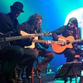 20110730_umbra_akustik_031