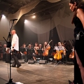 20130713_schandmaul_puchheim_065