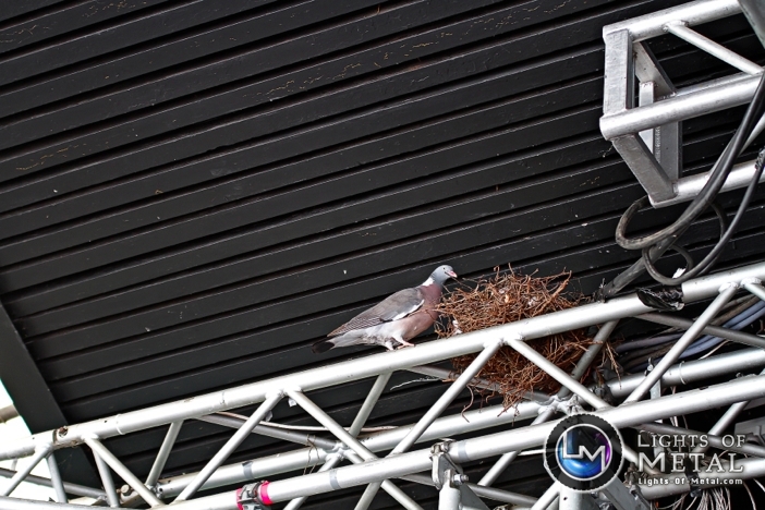 20130830_schandmaul_backstage_033