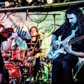 20150508_allythefiddle_045.jpg