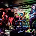 20150508_allythefiddle_062.jpg