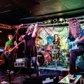 20150508_allythefiddle_063.jpg