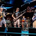 20140614_fistful_of_monkeys_001