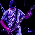 20140718_fistful_of_monkeys_005